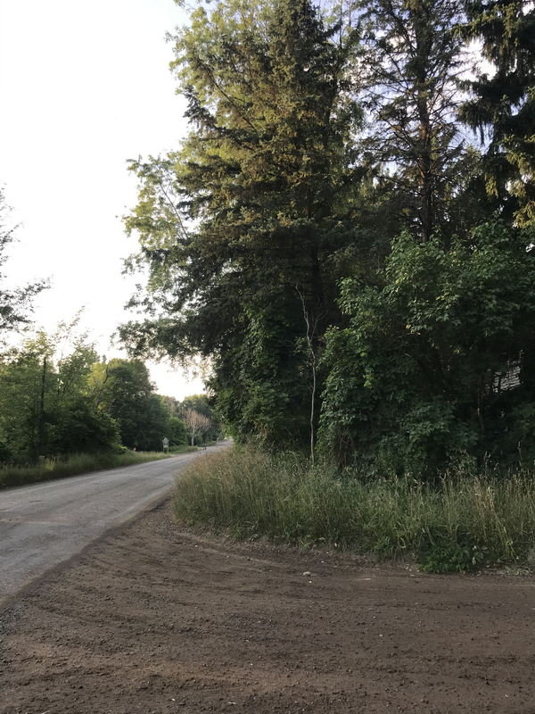 Shoup - July 2020 Photo (newer photo)